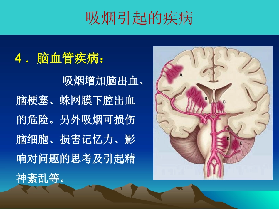 吸烟的危害及如何戒烟_第13页