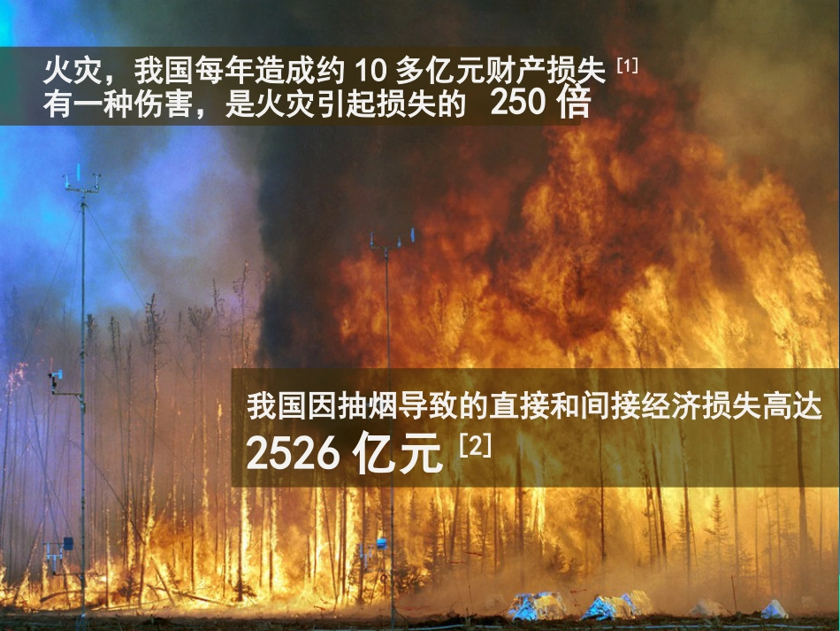 吸烟的危害及如何戒烟_第3页