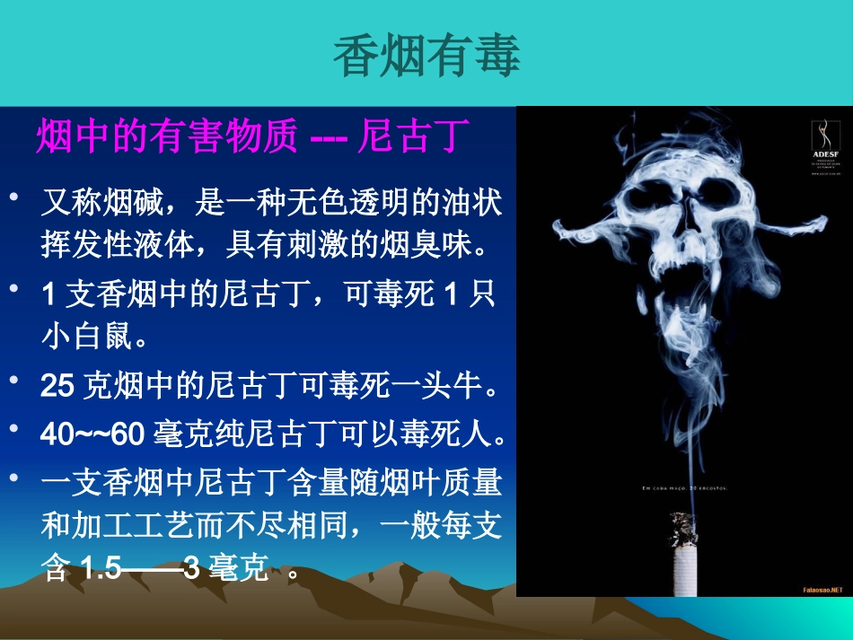 吸烟的危害及如何戒烟_第6页