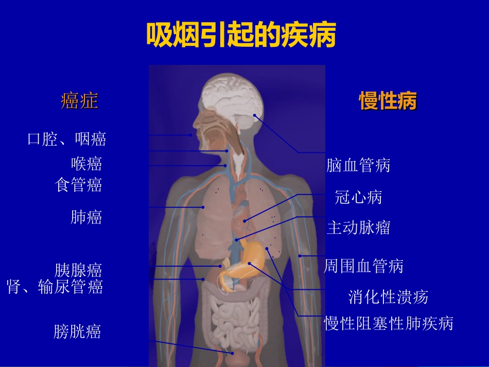 吸烟的危害及如何戒烟_第8页