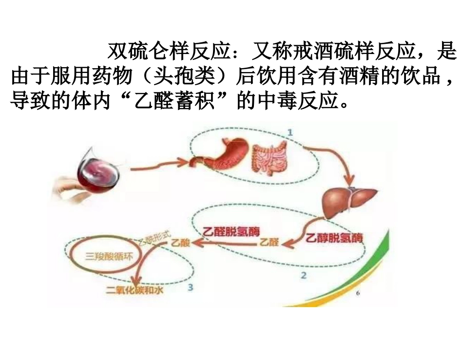 双硫仑样反应_第4页