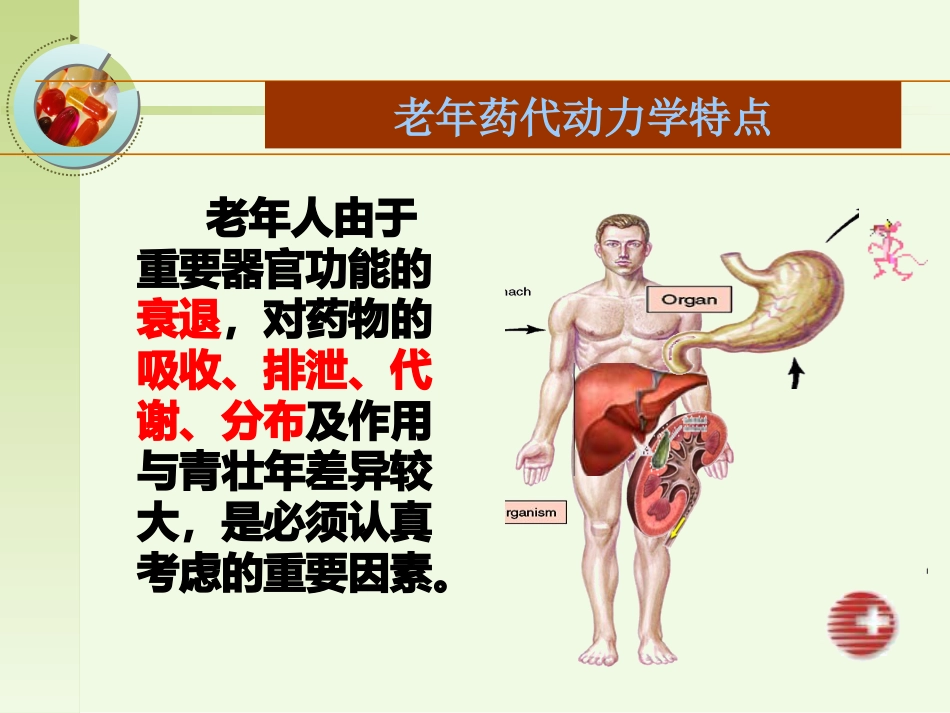 老年人安全用药健康宣教_第4页