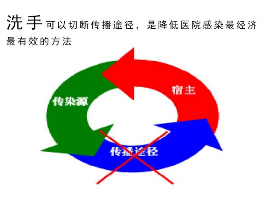 正确洗手 守住健康_第12页