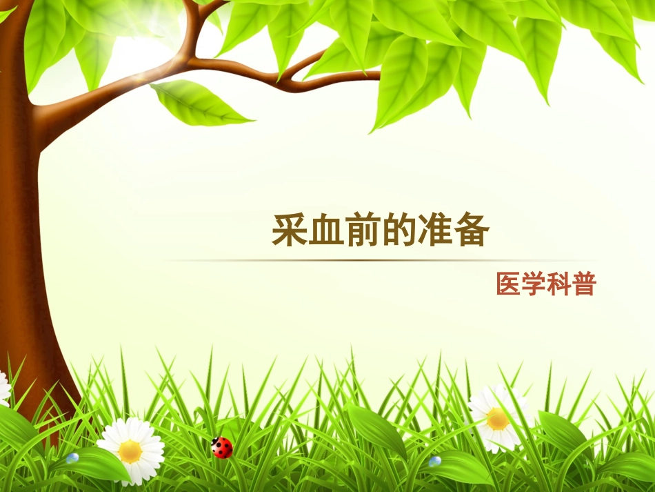 采血前的准备_第1页