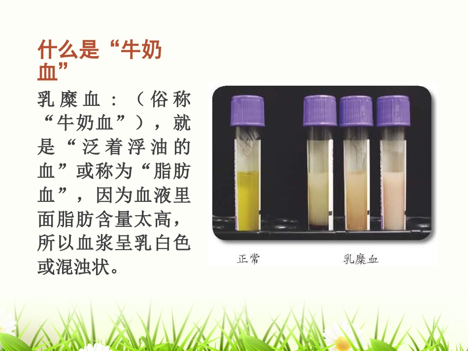 采血前的准备_第3页