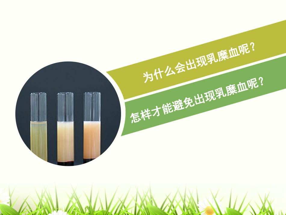 采血前的准备_第4页