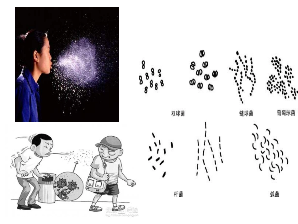 学习礼仪，自我防护_第7页