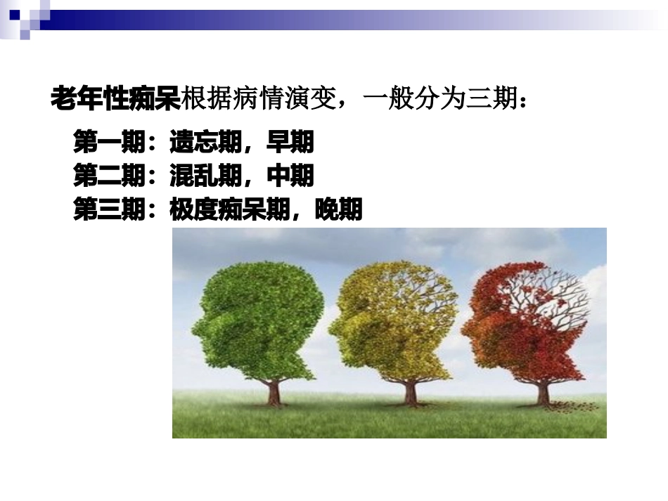 阿尔茨海默病的护理_第4页