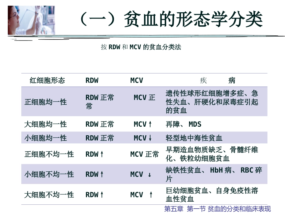 贫血概述_第13页