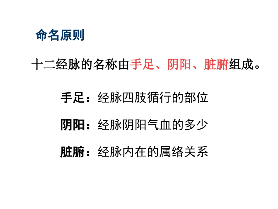 经络- 腧穴学_第11页