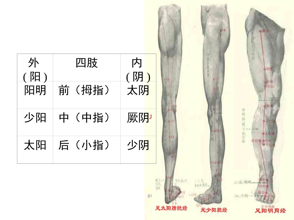 经络- 腧穴学_第13页