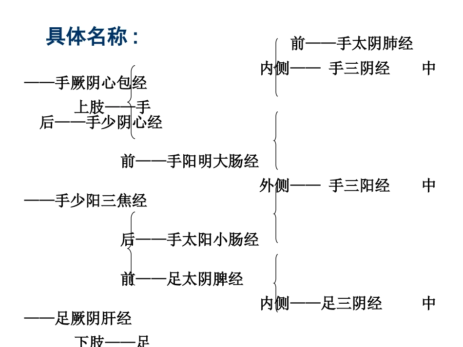经络- 腧穴学_第14页