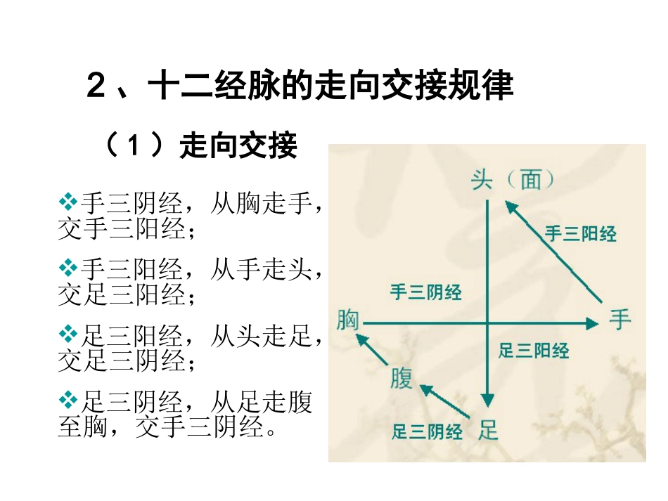 经络- 腧穴学_第15页