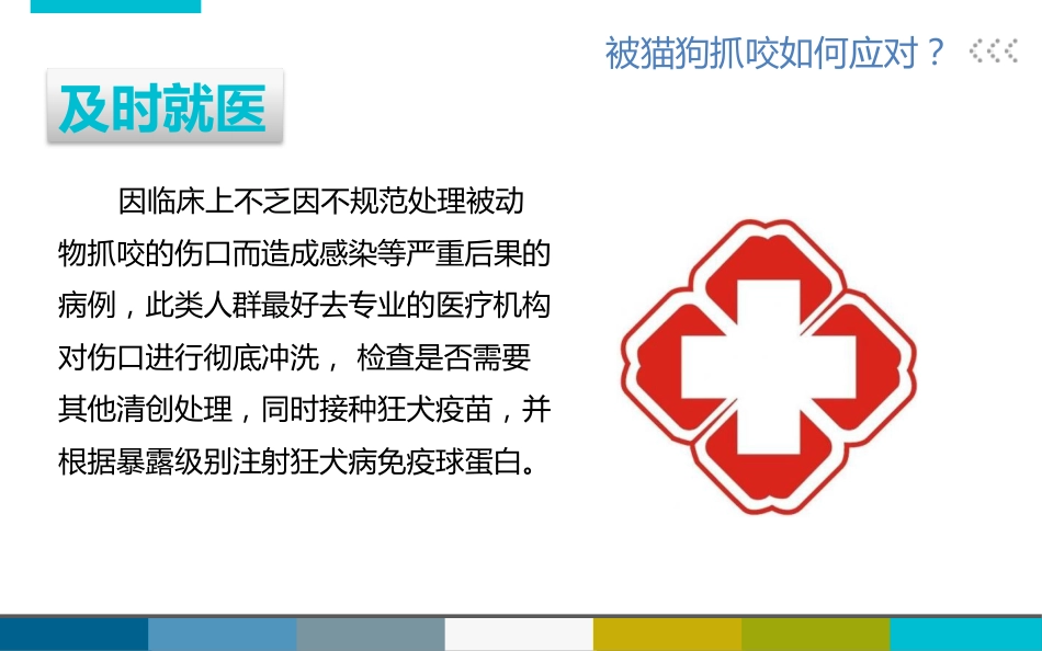 被宠物抓伤咬伤怎么办_第10页