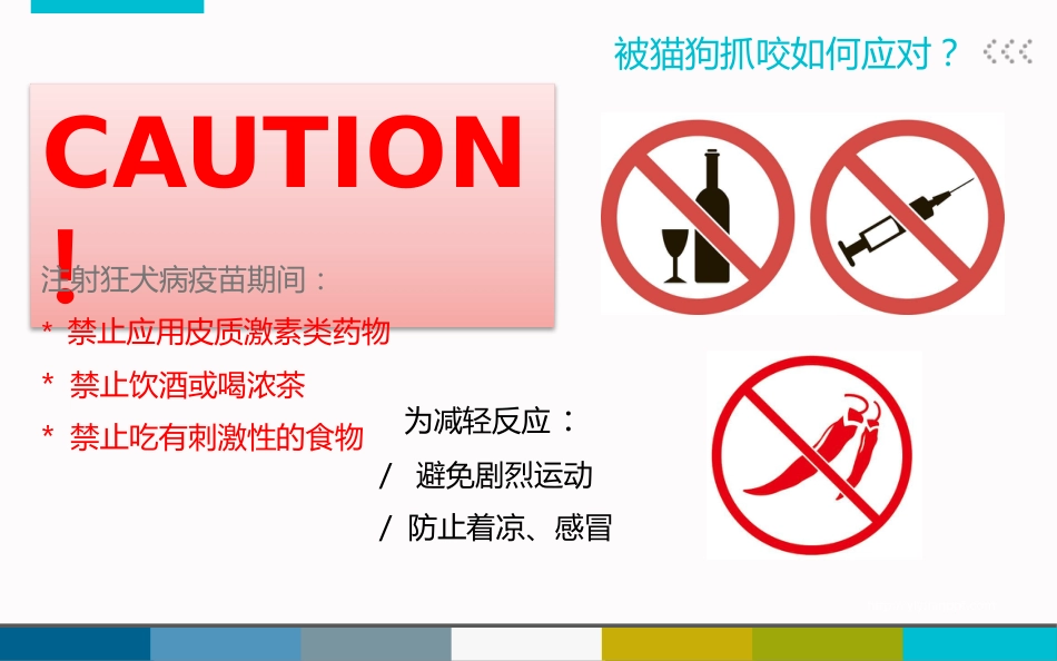被宠物抓伤咬伤怎么办_第11页