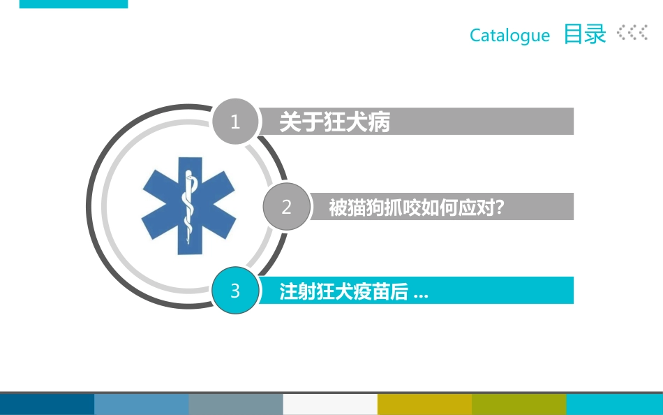 被宠物抓伤咬伤怎么办_第12页