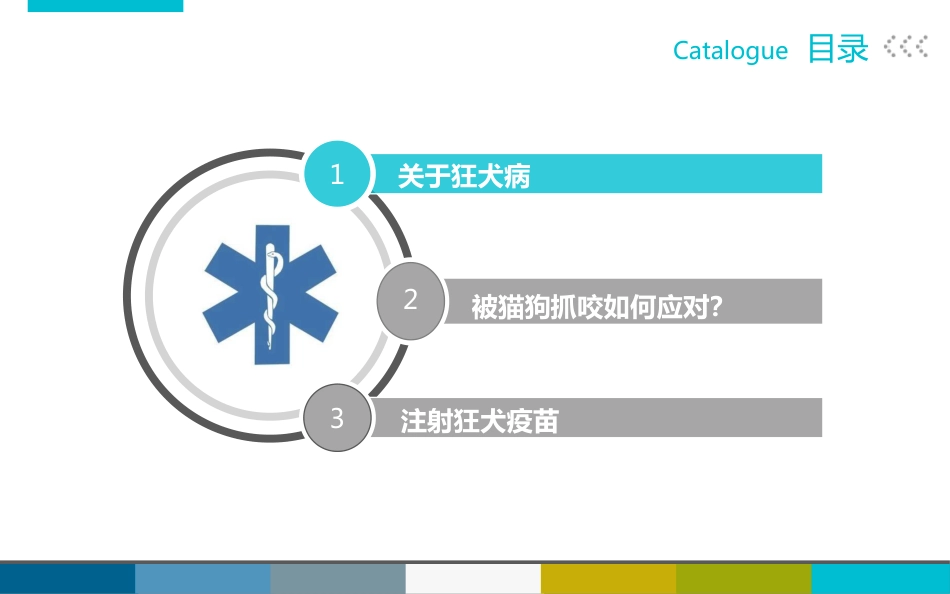 被宠物抓伤咬伤怎么办_第2页