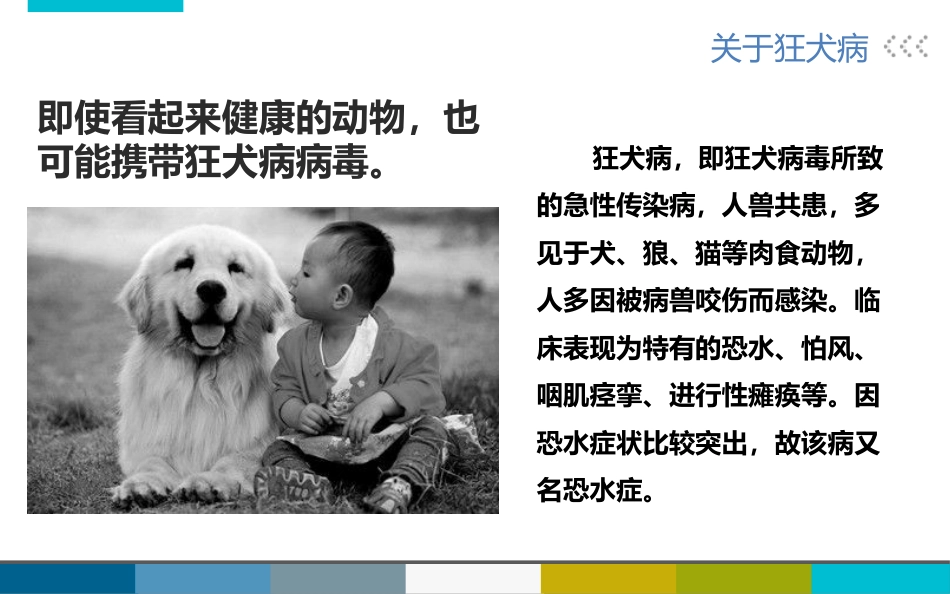 被宠物抓伤咬伤怎么办_第3页