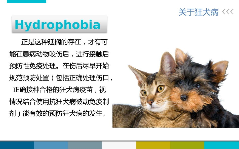 被宠物抓伤咬伤怎么办_第5页