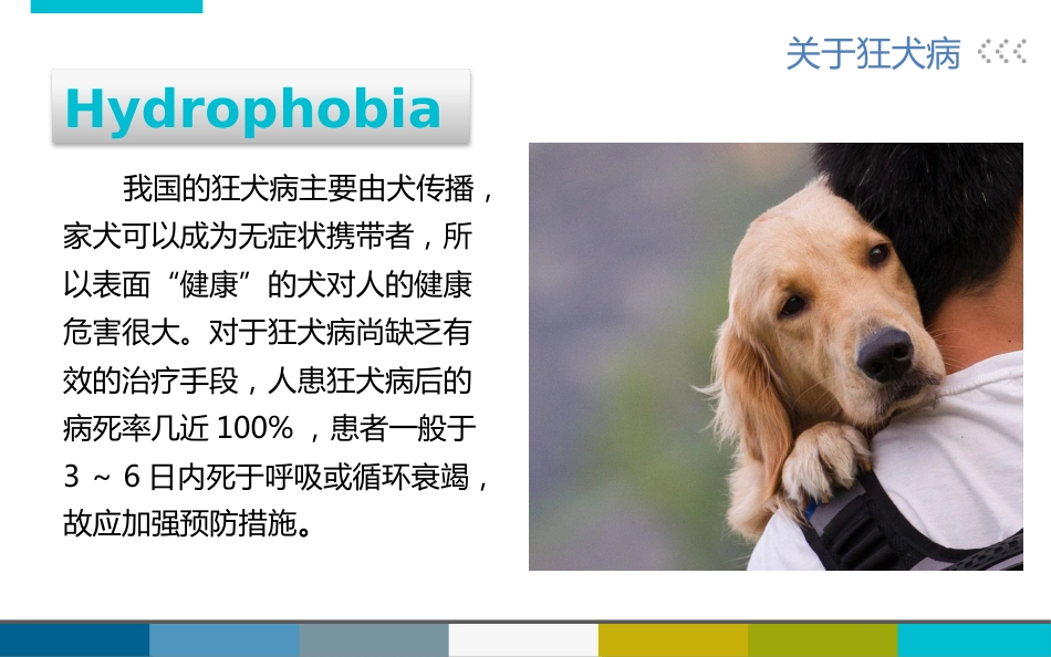 被宠物抓伤咬伤怎么办_第6页