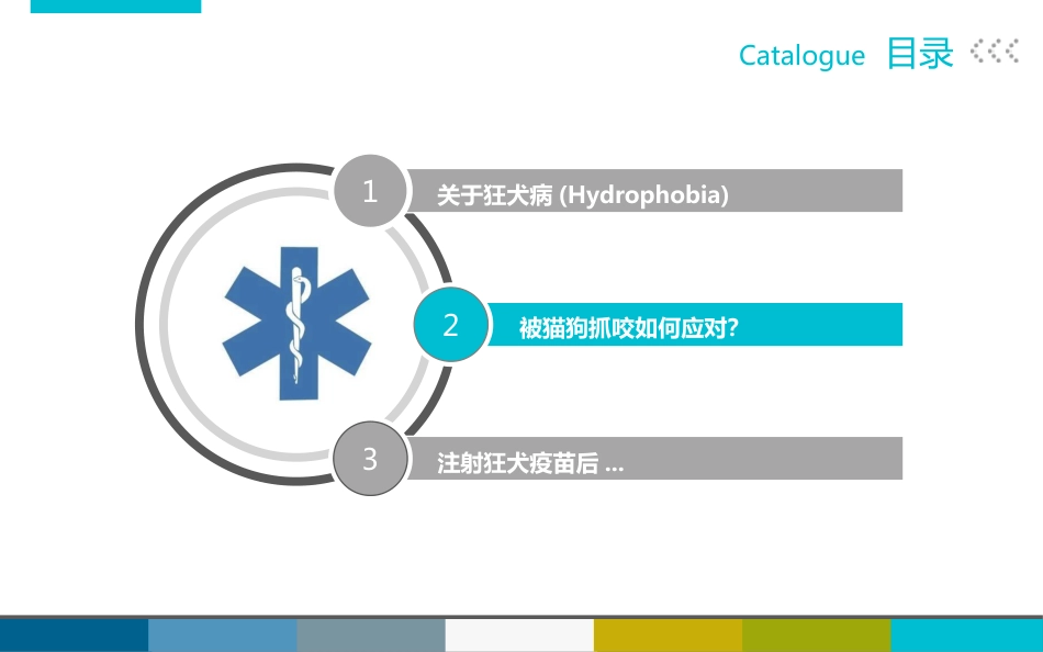被宠物抓伤咬伤怎么办_第7页