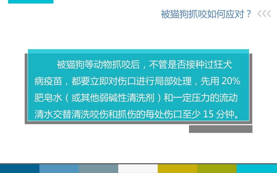 被宠物抓伤咬伤怎么办_第8页