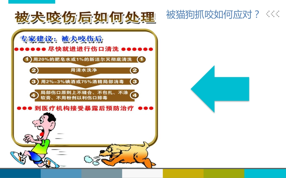 被宠物抓伤咬伤怎么办_第9页