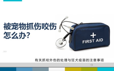 被宠物抓伤咬伤怎么办