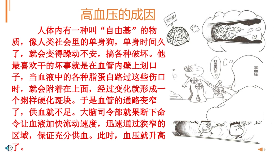 高血压预防_第4页