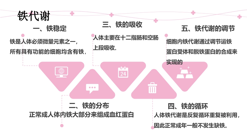 缺铁性贫血知识普及_第10页