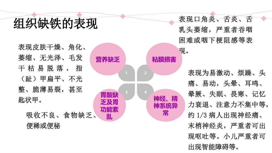 缺铁性贫血知识普及_第13页