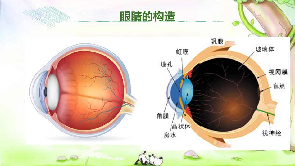 保护视力，享受精彩_第13页