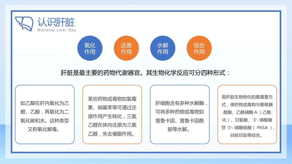 爱肝护肝健康教育宣传PPT模板_第12页