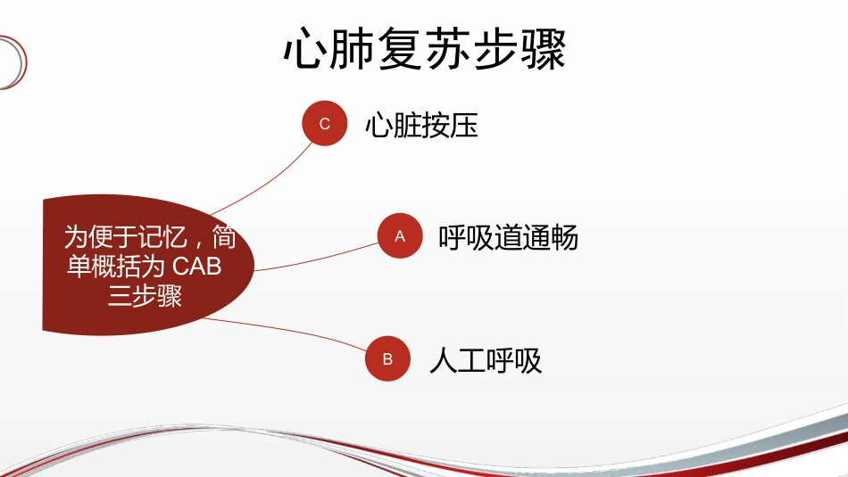 家庭心肺复苏术_第12页