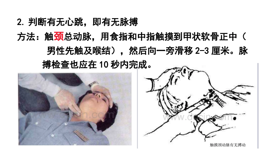 家庭心肺复苏术_第7页