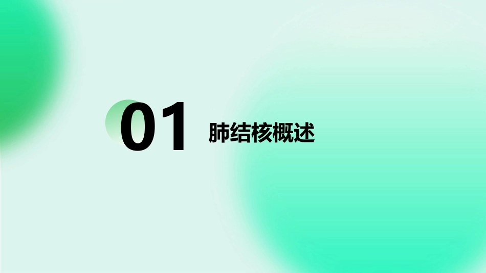 肺结核PPT课件(1)_第3页