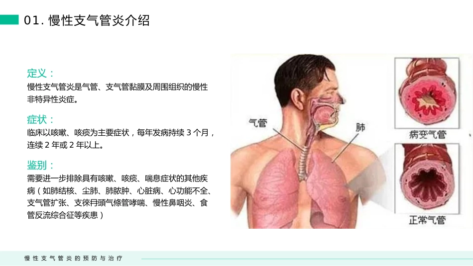 慢性支气管炎的预防与治疗(3)_第4页