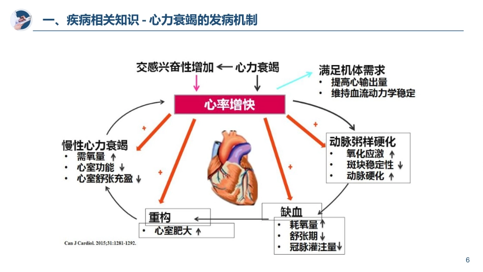 慢性心力衰竭急性加重护理查房_第6页