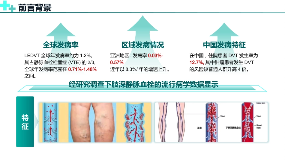 基于高级健康评估的一例下肢深静脉血栓的护理个案_第5页