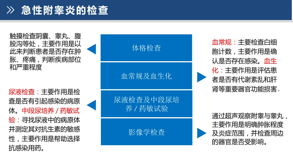 急性附睾炎的护理_第12页