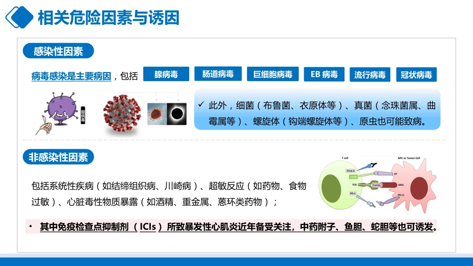 爆发性心肌炎的护理_第7页
