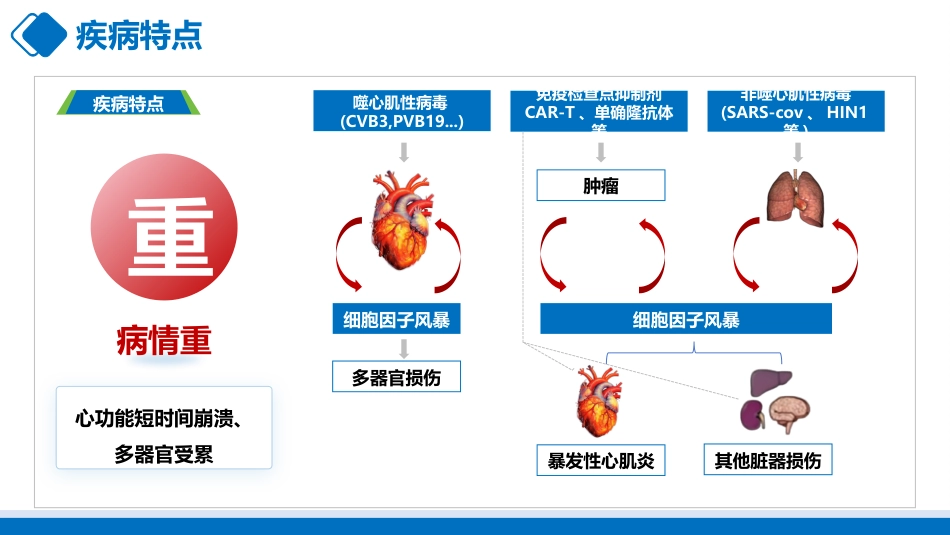 爆发性心肌炎的护理_第9页