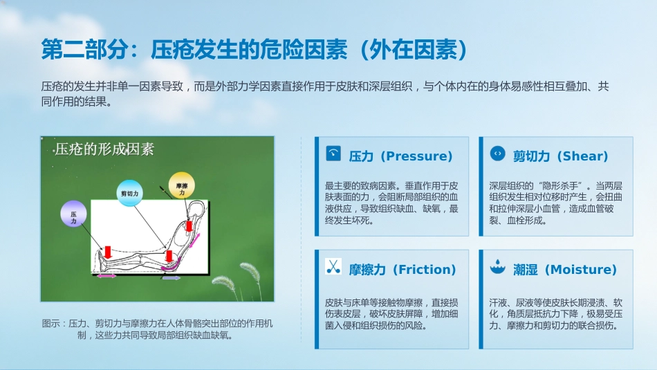 压疮的预防及护理_第11页