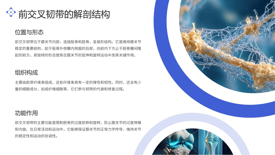 前交叉韧带损伤治疗ppt_第4页
