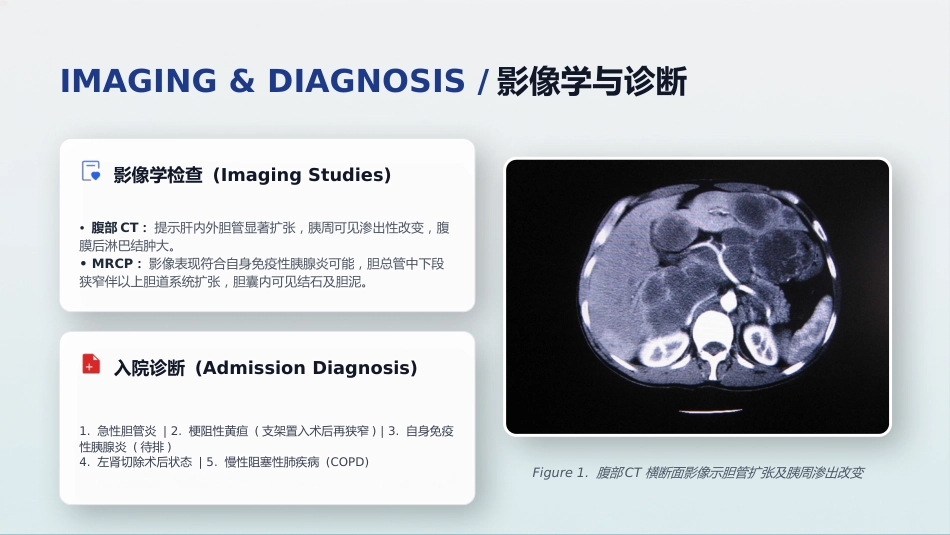 一例急性胆管炎患者护理个案汇报_第8页