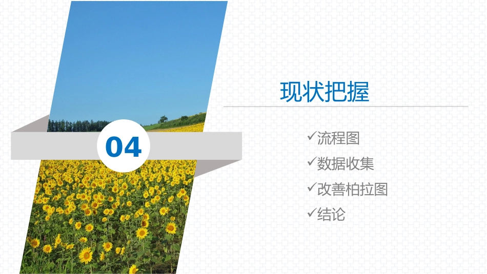 品管圈--提高下肢静脉预防下肢静脉血栓的执行率AA_第15页