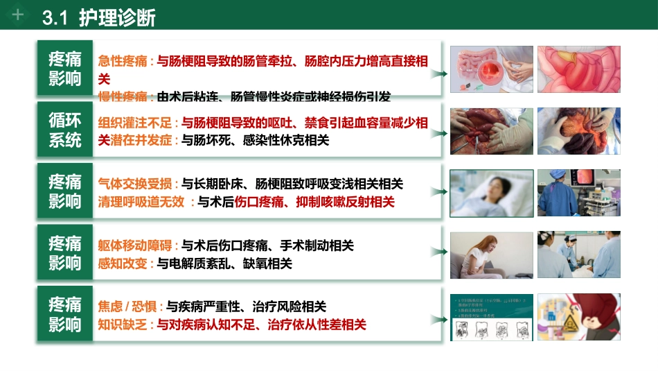 肠梗阻个案护理_第8页