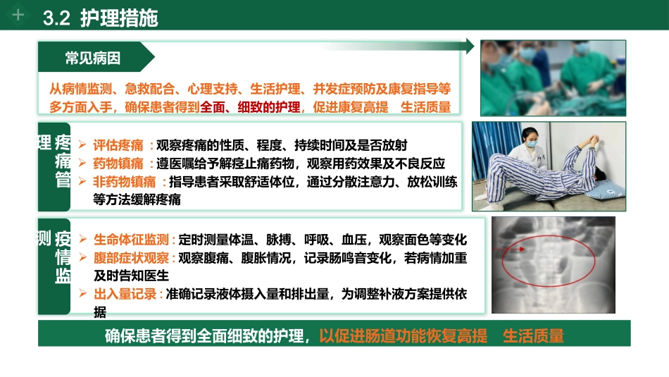 肠梗阻个案护理_第9页