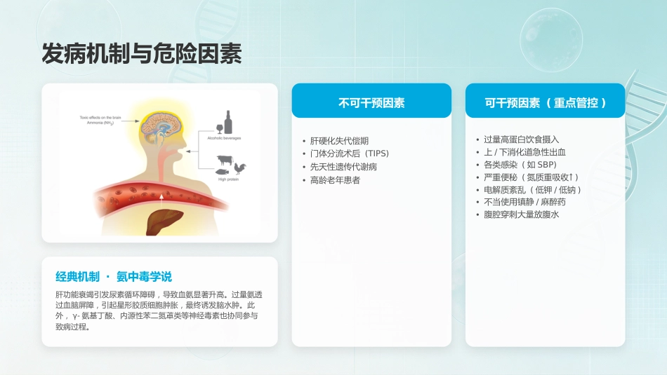 肝性脑病的预防策略与综合管理_第8页