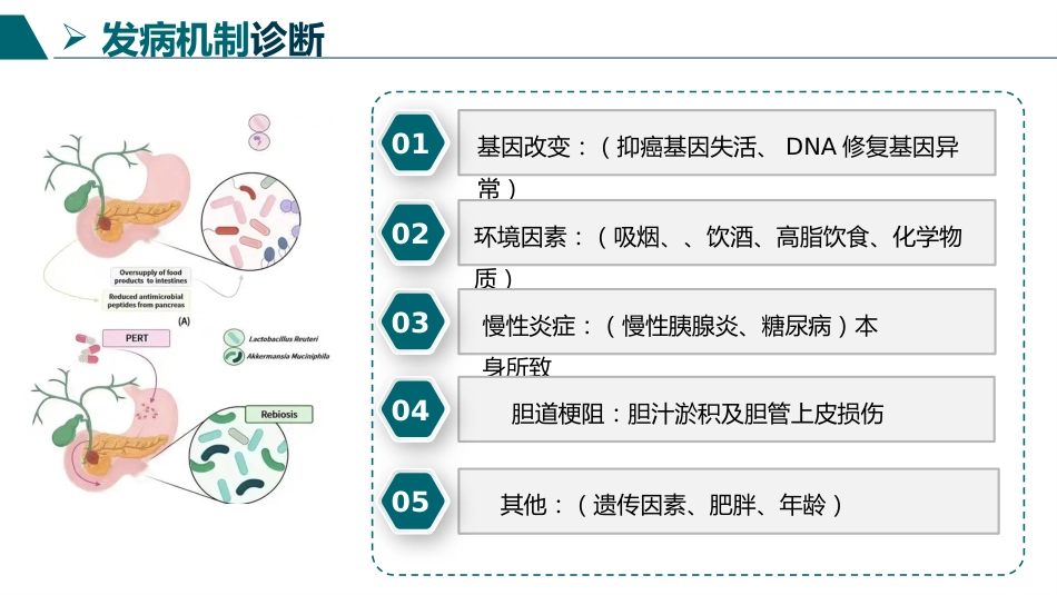 胰十二指肠切除术护理查房_第6页